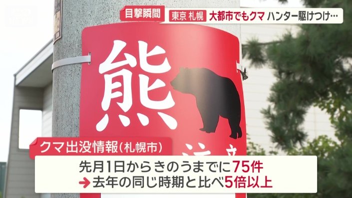 去年の同じ時期と比べ5倍以上に