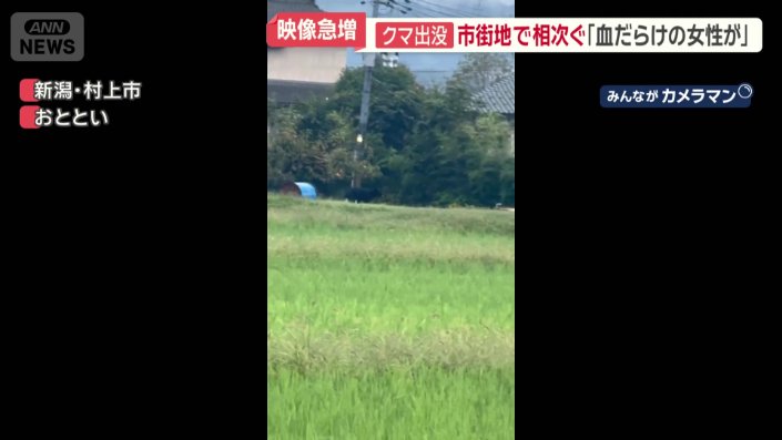 住宅のすぐ目の前を走り去るクマの姿