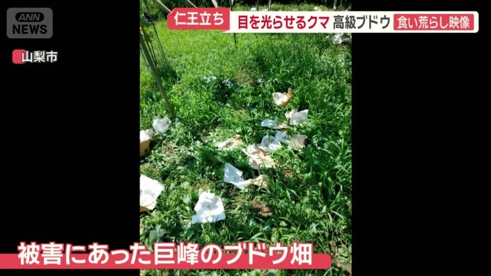 被害額は30万円にも上る