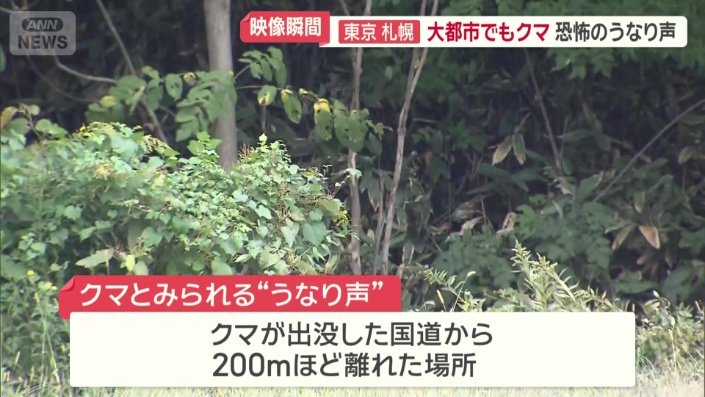 およそ15分にわたって、この“うなり声”が響いていた