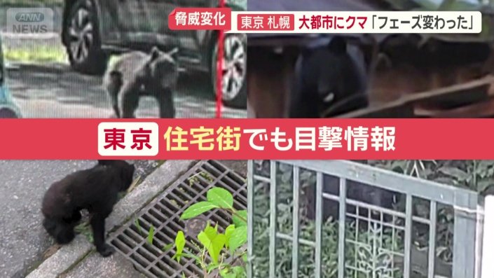 東京の住宅街でも相次ぐクマの目撃情報