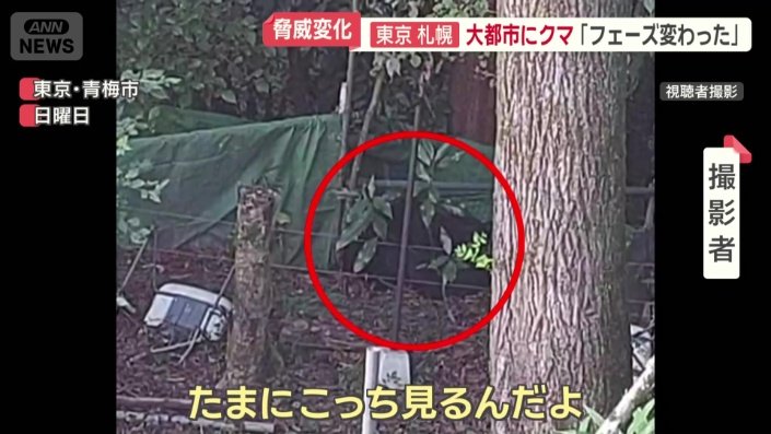 撮影者「しばらくは心配で不安で」