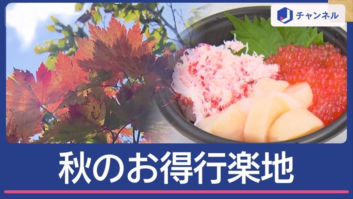 旅のプロ厳選！紅葉最前線から都内まで　お得な秋の行楽スポット
