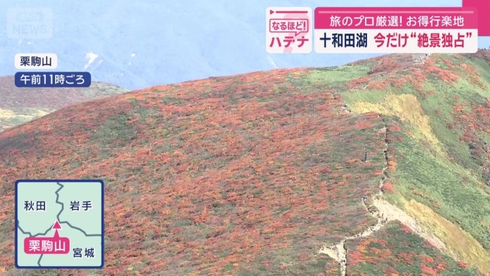 緑から赤へ…季節のグラデーション織りなす