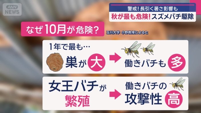 なぜ10月が危険？