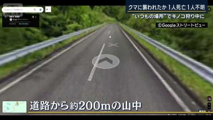 道路から約200mの山中