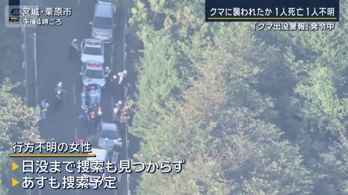 行方不明の女性