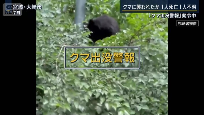 クマ出没警報