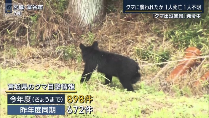 宮城県のクマ目撃情報