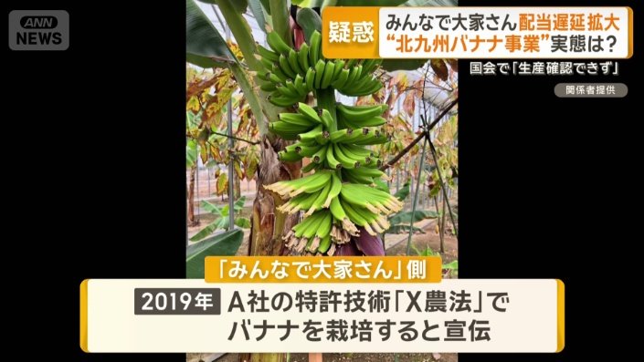 A社の特許技術「X農法」でバナナを栽培すると宣伝
