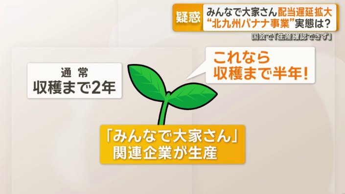 バナナの種苗を生産