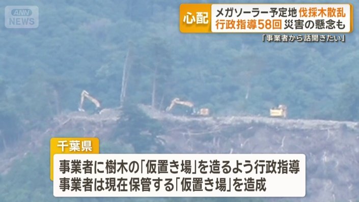 樹木の「仮置き場」を造るよう行政指導