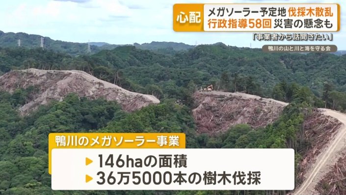 伐採した大量の樹木が散乱している山肌