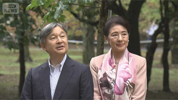 「どんぐりの森」をご覧に