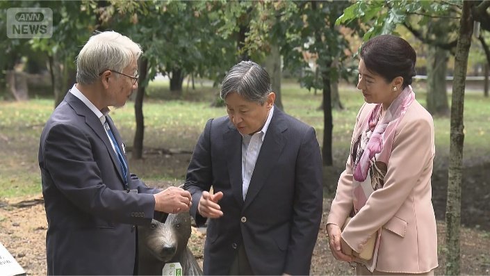 「どんぐりの森」をご覧に