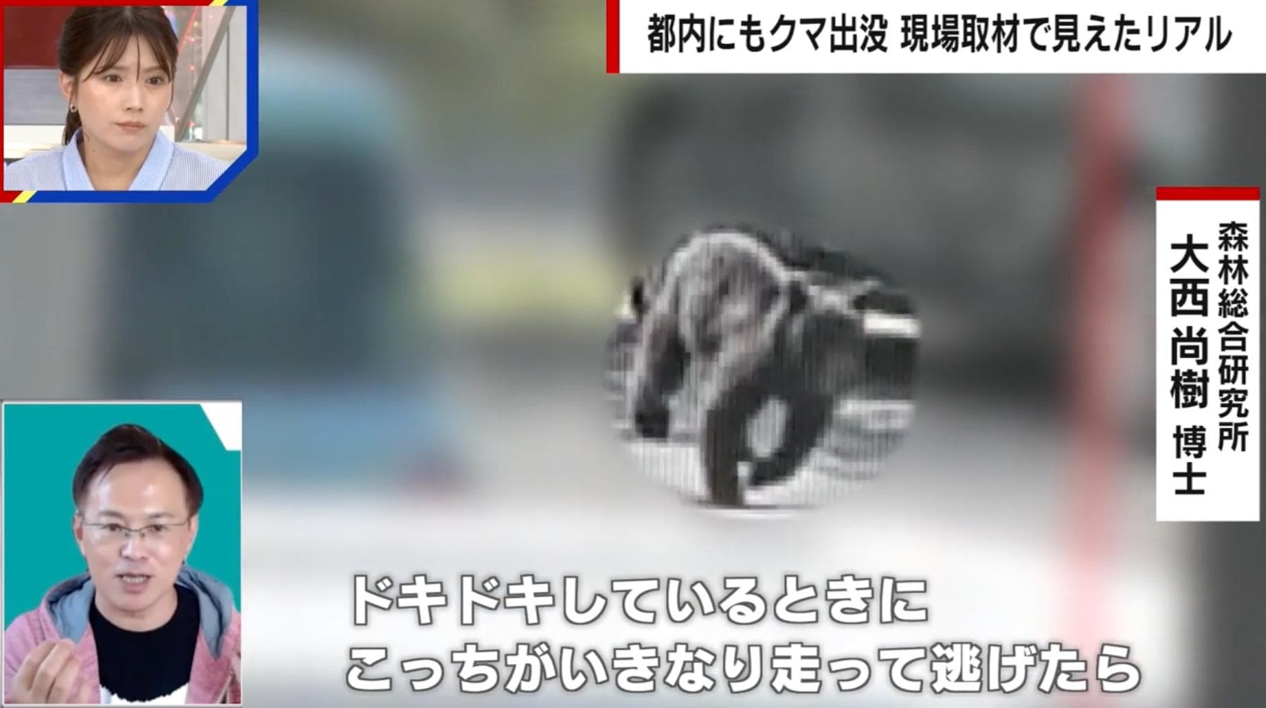 クマと遭遇した時に絶対にやってはいけないこと「クマが追いかけたい衝動に駆られる」専門家が指南