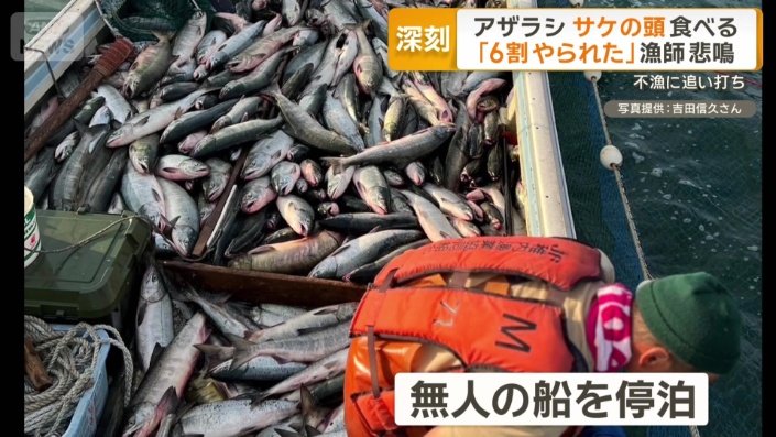 網の近くに無人の船を停泊させる対策も…