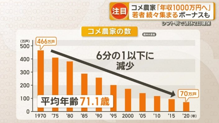 コメ農家の数
