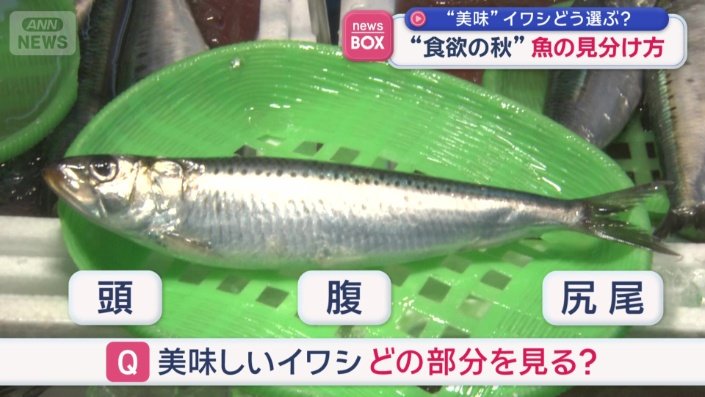 どの部分を見たらいい？