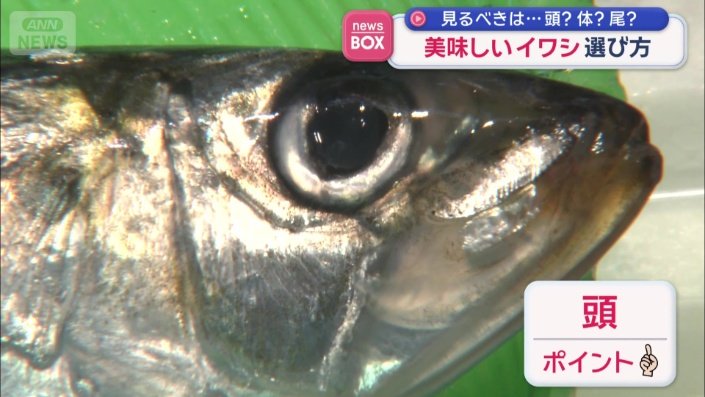 見るべきポイントは「頭」