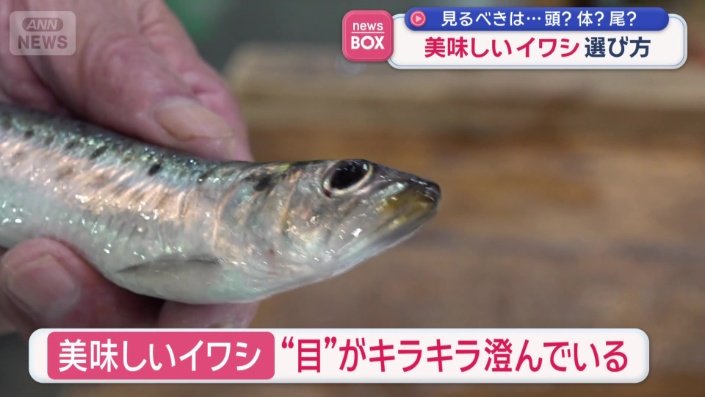目がキラキラと澄んでいるもの