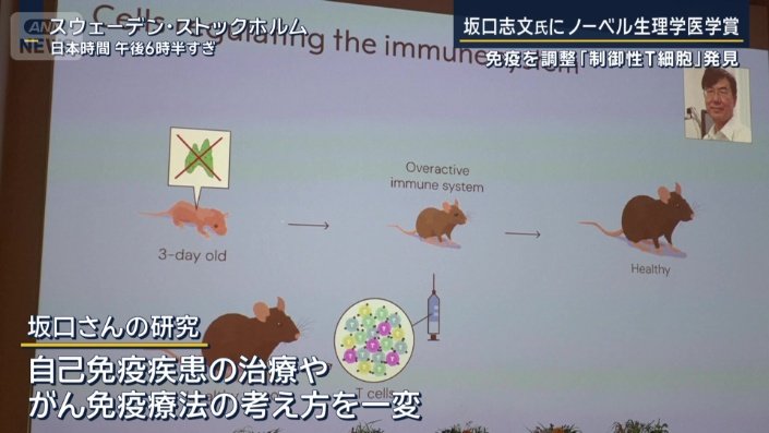 坂口さんの研究