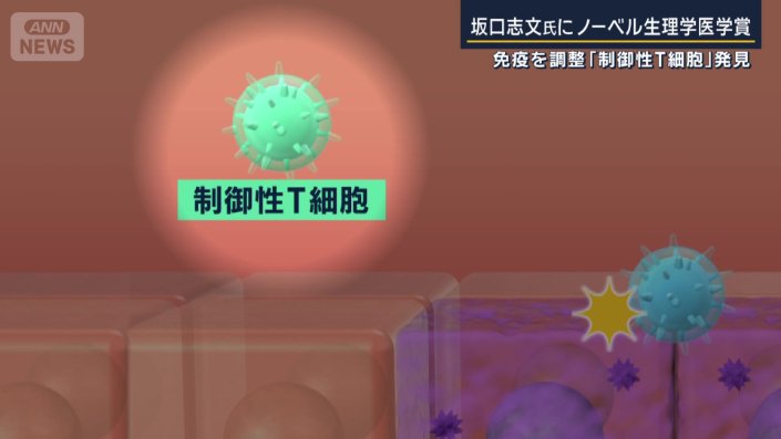 制御性T細胞