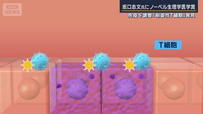 T細胞