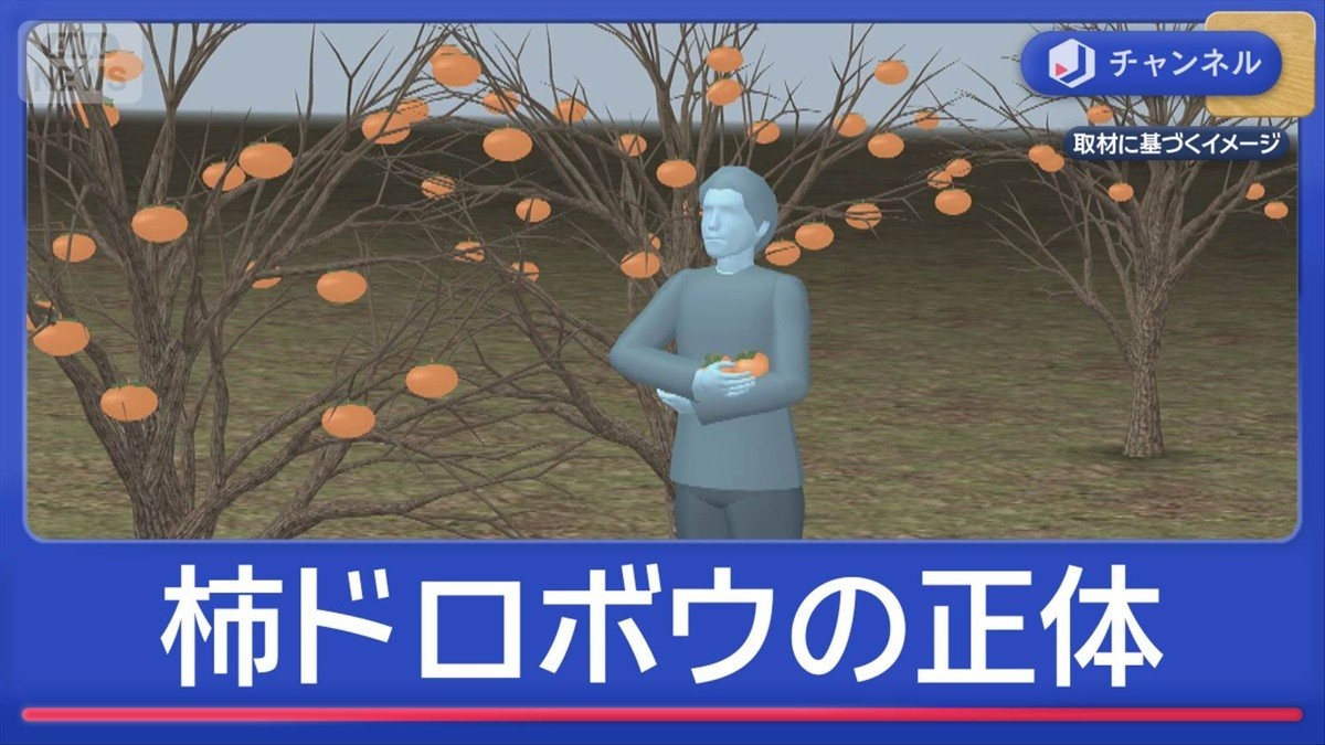 柿ドロボウ“人はねた”逮捕されたのは…学校教師