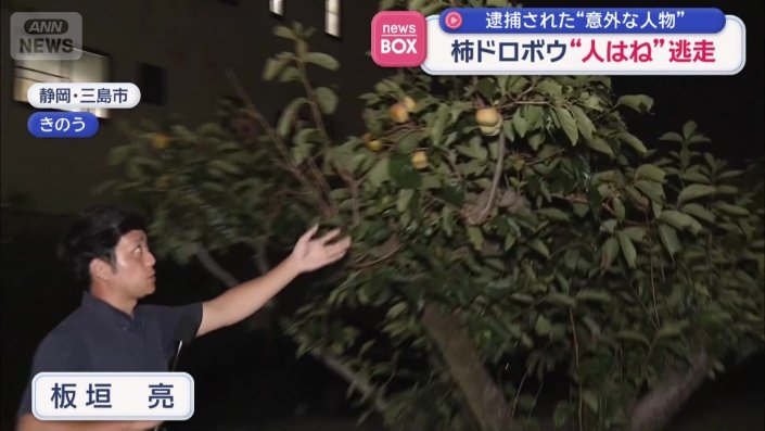 現場の畑
