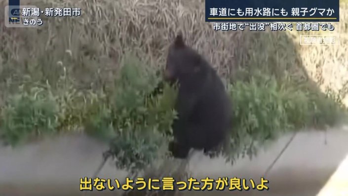 目撃者
