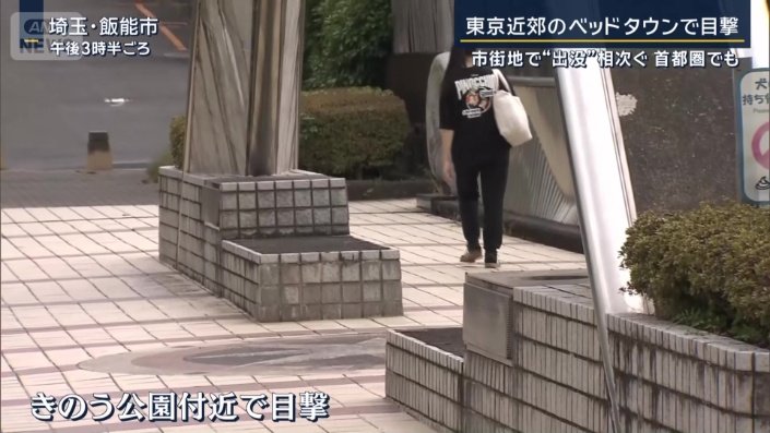 公園付近でクマの目撃