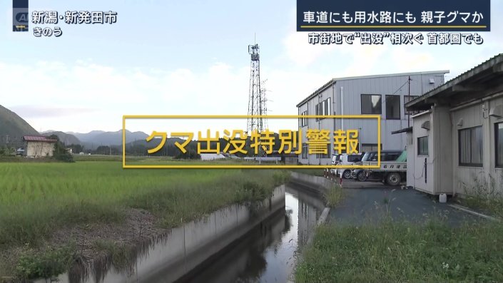 クマ出没特別警報