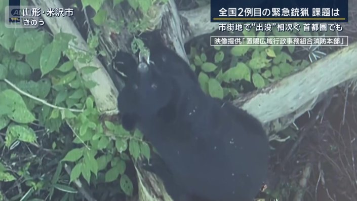山形県の米沢市