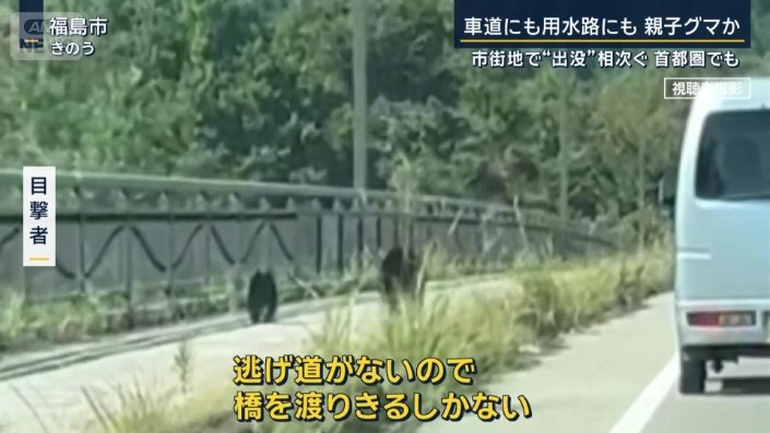 目撃者