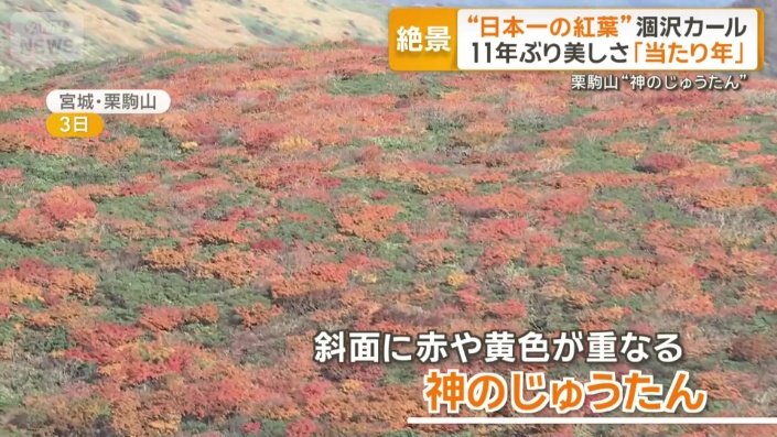 “神のじゅうたん”　宮城県栗駒山
