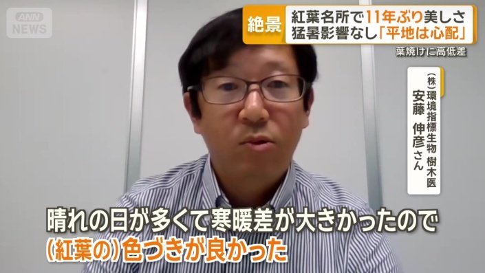 （株）環境指標生物　樹木医　安藤伸彦さん