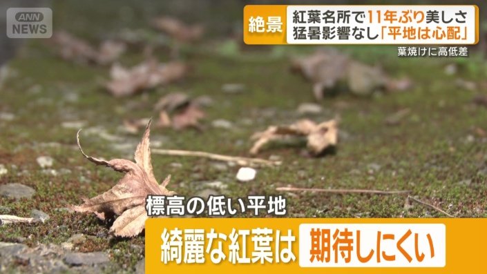 標高の低い平地では…