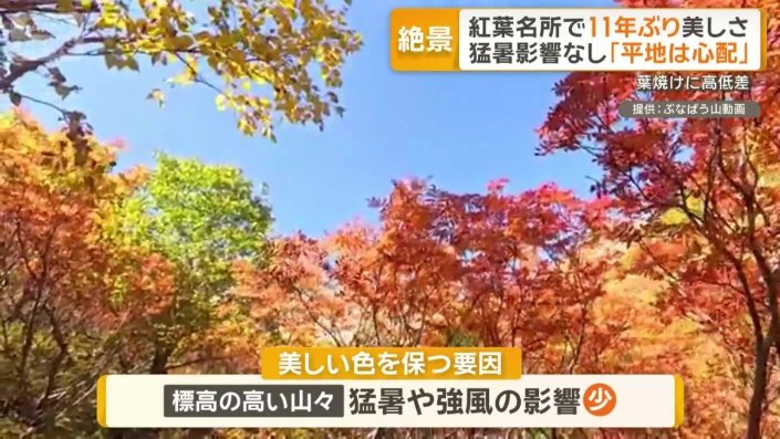 美しい色を保つ要因