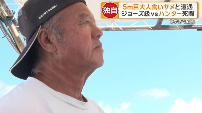果たしてサメは…