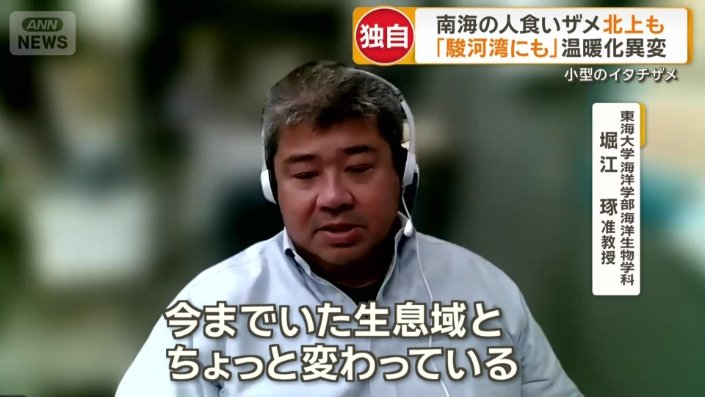 東海大学　海洋学部　海洋生物学科　堀江琢准教授