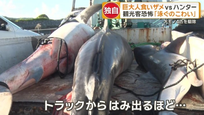 トラックからはみ出るほど…