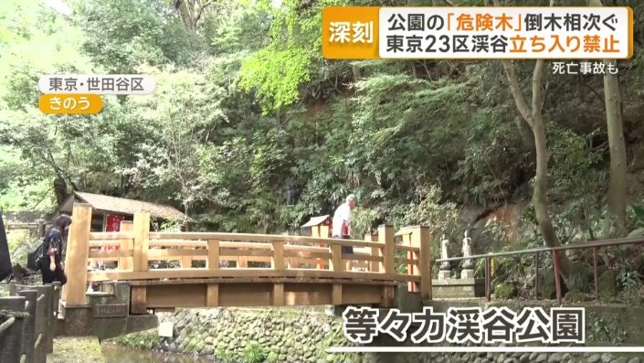 等々力渓谷公園　