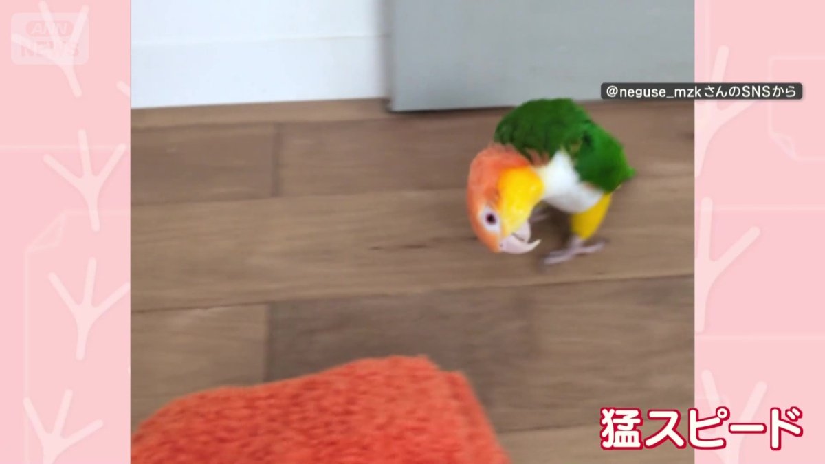 別の日も…