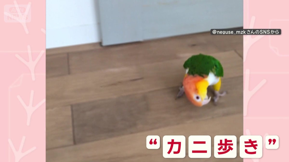 カニ走り！