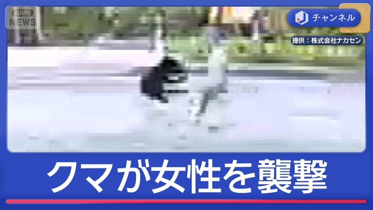散歩中の女性をクマが襲撃　スーパー“侵入”も　被害相次ぐ
