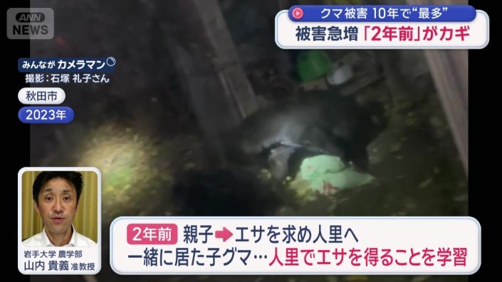 “アーバンベア”が成長したという見立ても