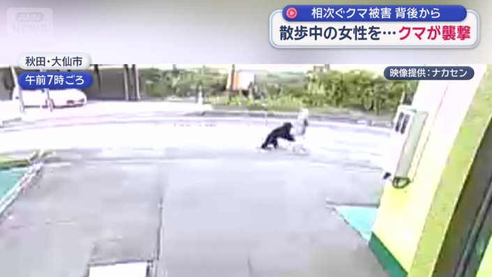 女性に飛び掛かるクマ