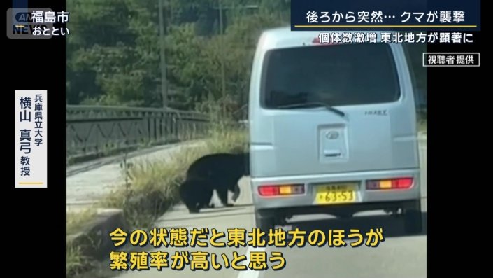 兵庫県立大学　横山真弓教授