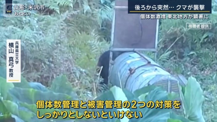 兵庫県立大学　横山真弓教授